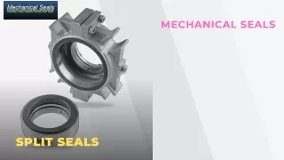 mechanical seals
