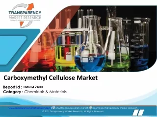 Carboxymethyl Cellulose Market 