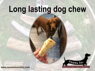 Long lasting dog chew