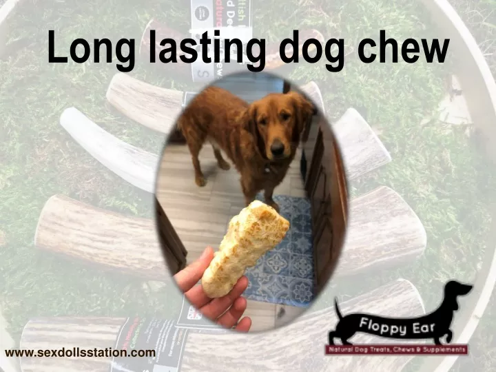 long lasting dog chew