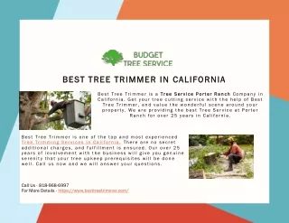 Are you looking for Tree Trimming Service in California?
