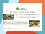 Are you looking for Tree Trimming Service in California? - slide 1