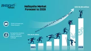 Halloysite market size is expected to grow US$ 58.88 million by 2028: The Insigh
