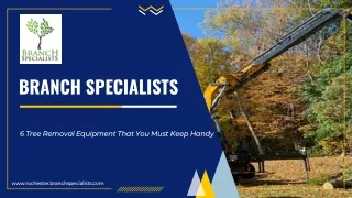 6 Tree Removal Equipment That You Must Keep Handy - Branch Specialists Rochester