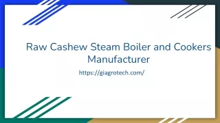 Cashew Steam Boiler Machine, Raw Cashew Steam Boiler and Cooker