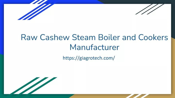 raw cashew steam boiler and cookers manufacturer