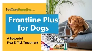 Cheapest Frontline Plus for Dogs | Buy Online & Free Delivery