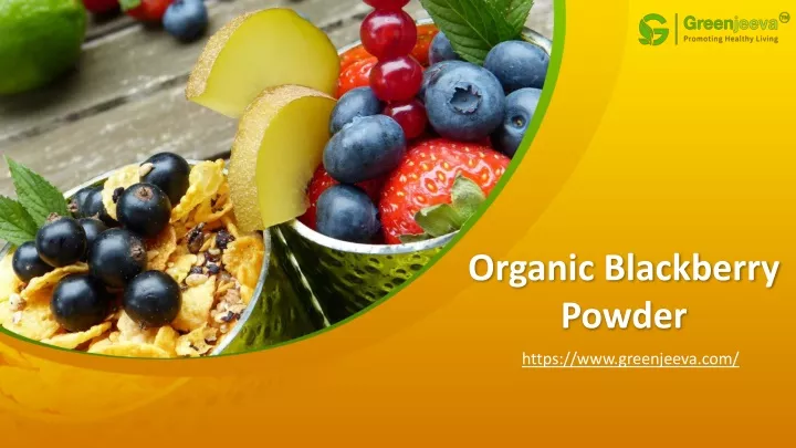 organic blackberry powder