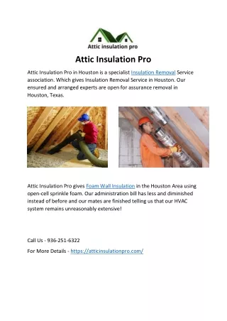 attic insulation pro