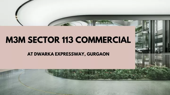 m3m sector 113 commercial