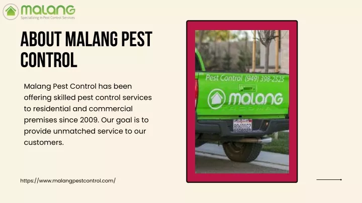 about malang pest control
