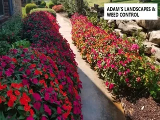 landscape designer in Tulsa