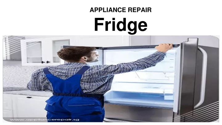 appliance repair fridge