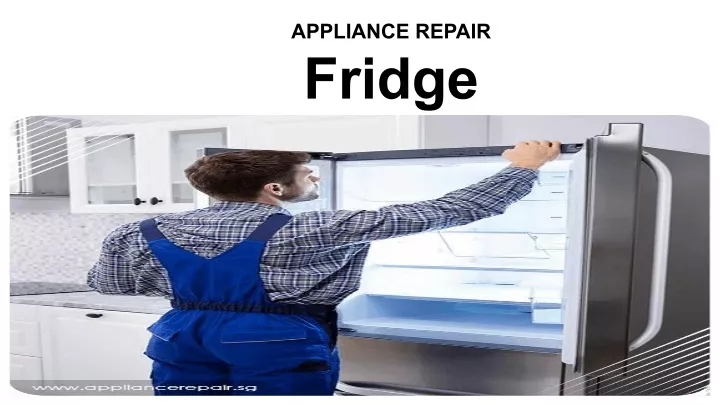 appliance repair fridge