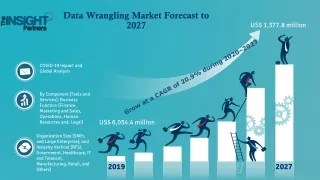 Data Wrangling Market to Grow at a CAGR of 20.9% to reach US$ 6,034.4 million
