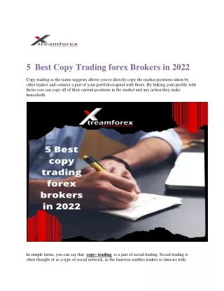 5  Best Copy Trading forex Brokers in 2022