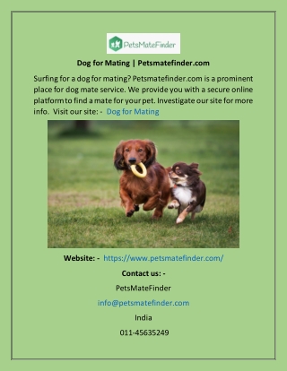 Dog for Mating  Petsmatefinder