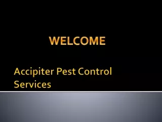 accipiter pest control services