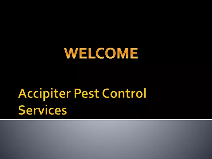 accipiter pest control services