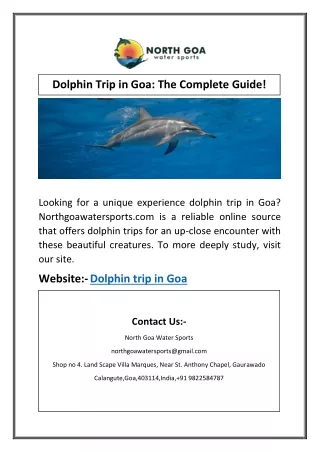 dolphin trip in goa the complete guide