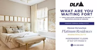 DLF Platinum Residences pHase 4 Gurgaon