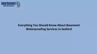Everything You Should Know About Basement Waterproofing Services in Seaford