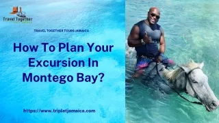 How To Plan Your Excursion In Montego Bay