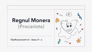 regnul monera procariota