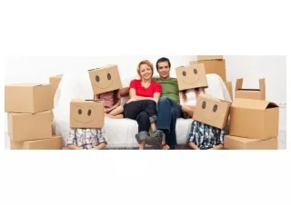 Dolphin Relocation Packers and Movers
