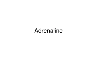 adrenaline