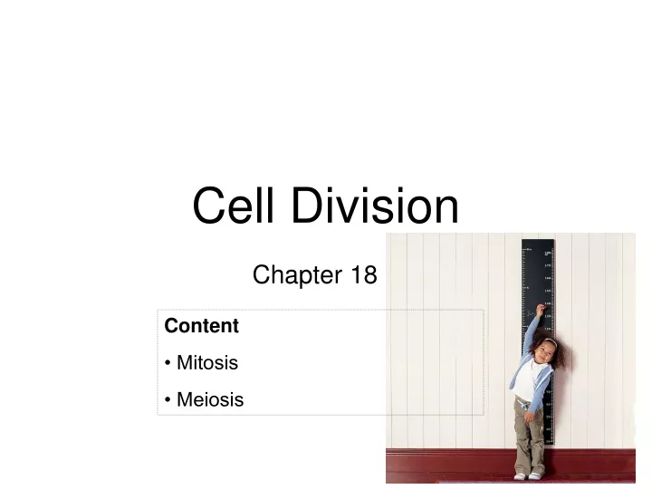 cell division