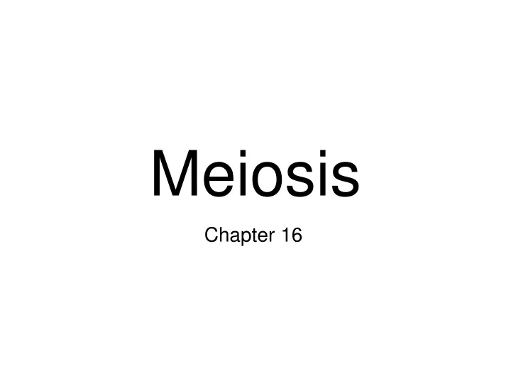 meiosis