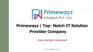 primewayz top notch it solution provider company