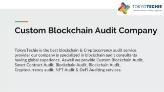 Custom Blockchain Audit Company