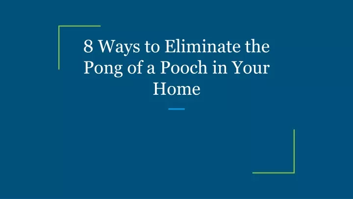 8 ways to eliminate the pong of a pooch in your home