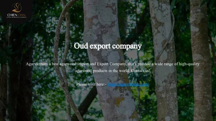 oud oudexport company export company