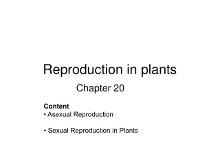 reproduction in plants
