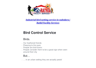 Industrial bird netting service in vadodara