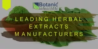 Being Leading Herbal Extracts Manufacturers, We Offer