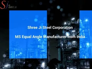 MS Equal Angle Manufacturer from India