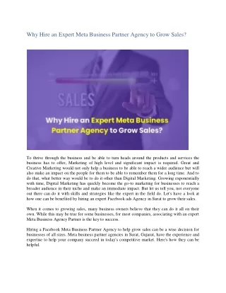 Why Hire An Expert Meta Business Partner Agency to Grow Sales