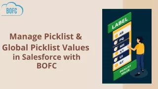 Manage Picklist & Global Picklist Value in Salesforce with BOFC
