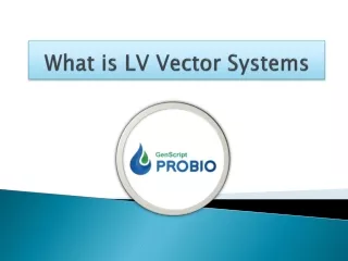 What is LV Vector Systems