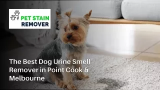 The Best Dog Urine Smell Remover in Point Cook & Melbourne