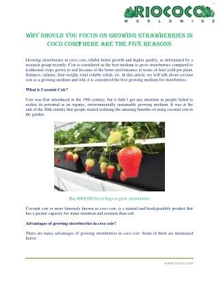 Why should you focus on growing strawberries in coco coir Here are the five reasons