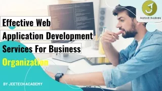 Effective Web Application Development Services For Business Organization