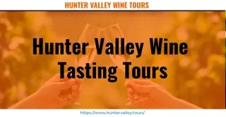 Discover the Reasons for Going to Hunter Valley Wine Tours - Hunter Valley Tours
