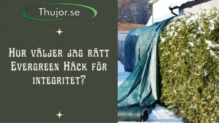 hur v ljer jag r tt evergreen h ck f r integritet