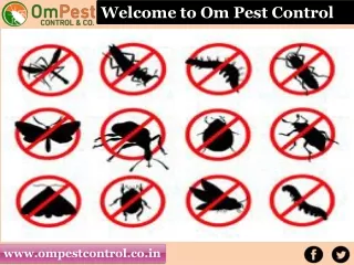 Get Best Pest Control Services Bhubaneswar