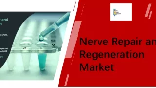 Nerve Repair and Regeneration Market